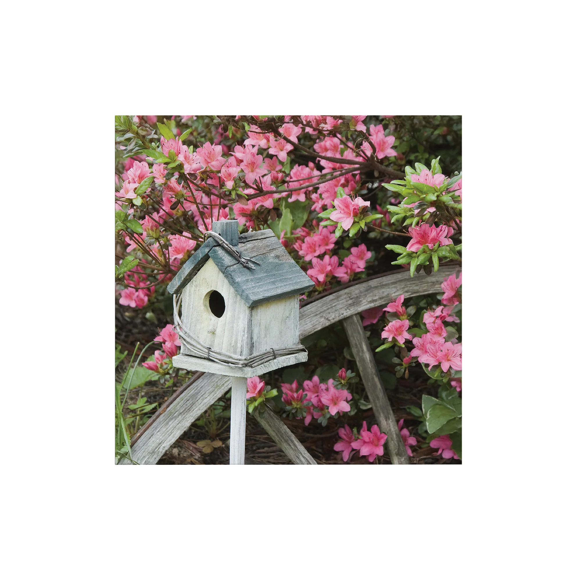 Miniatuur 1