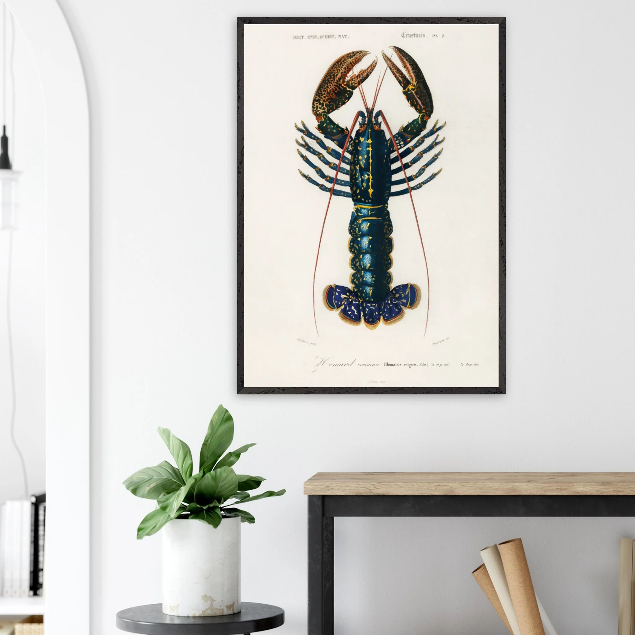 Productafbeelding 2