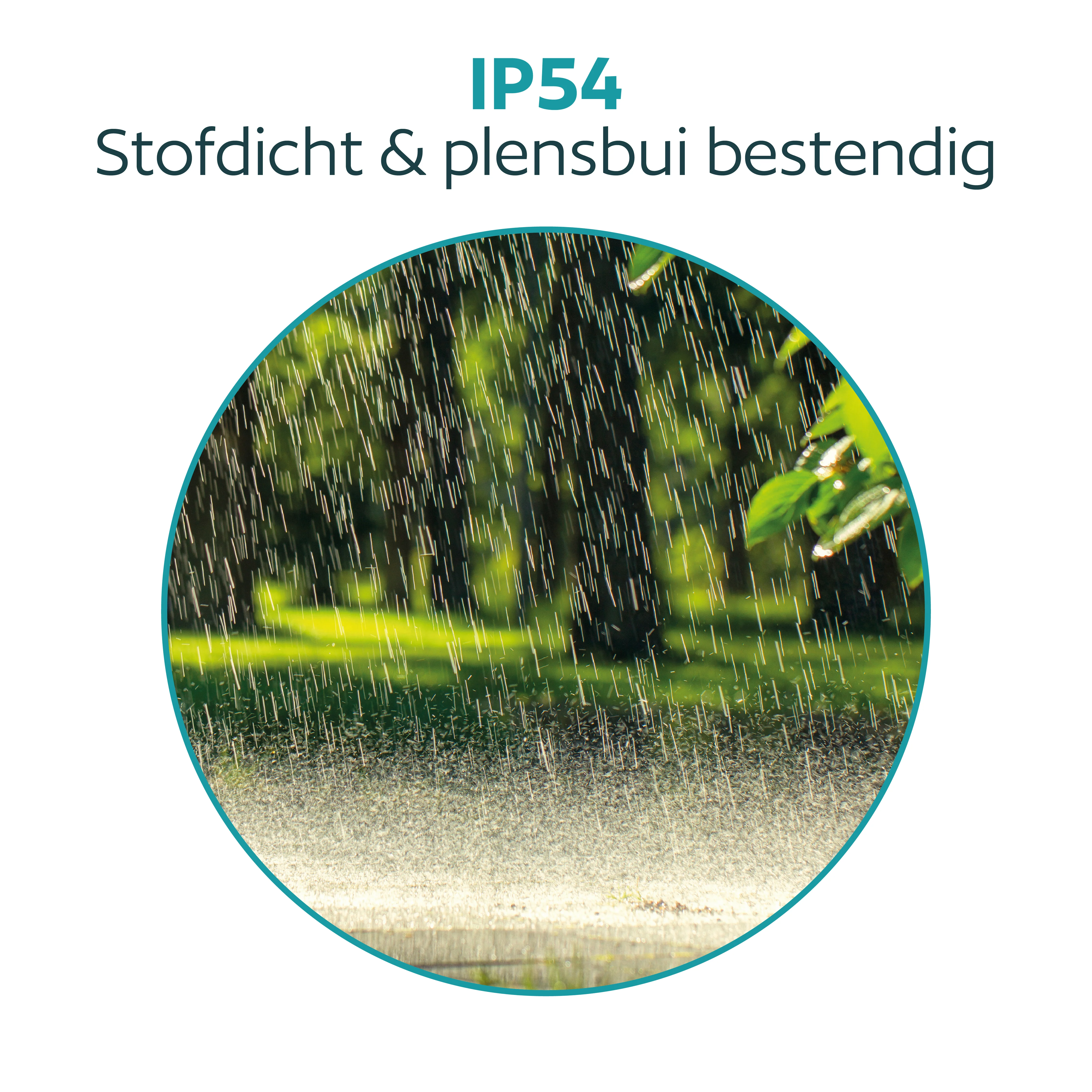 Productafbeelding 6