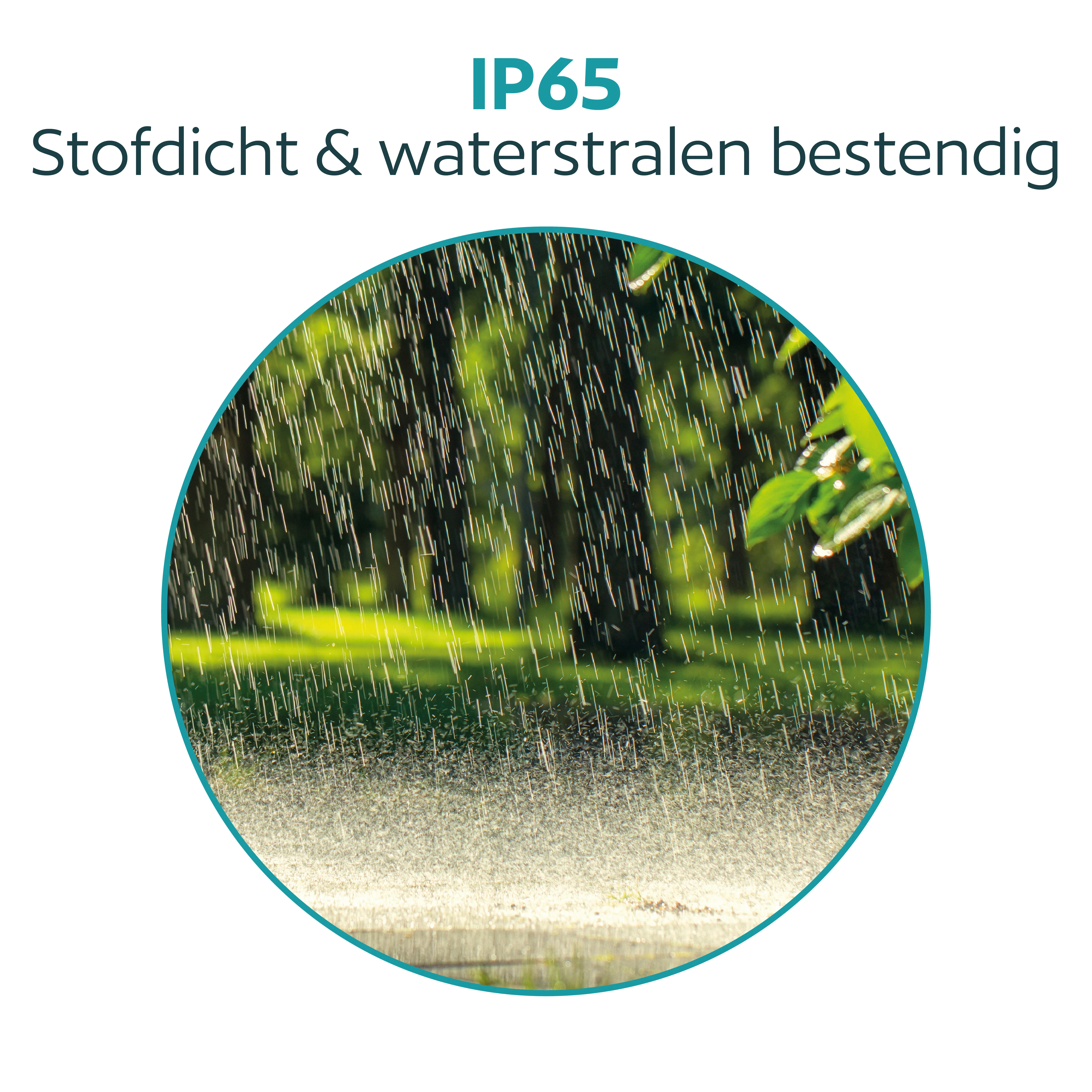 Productafbeelding 8