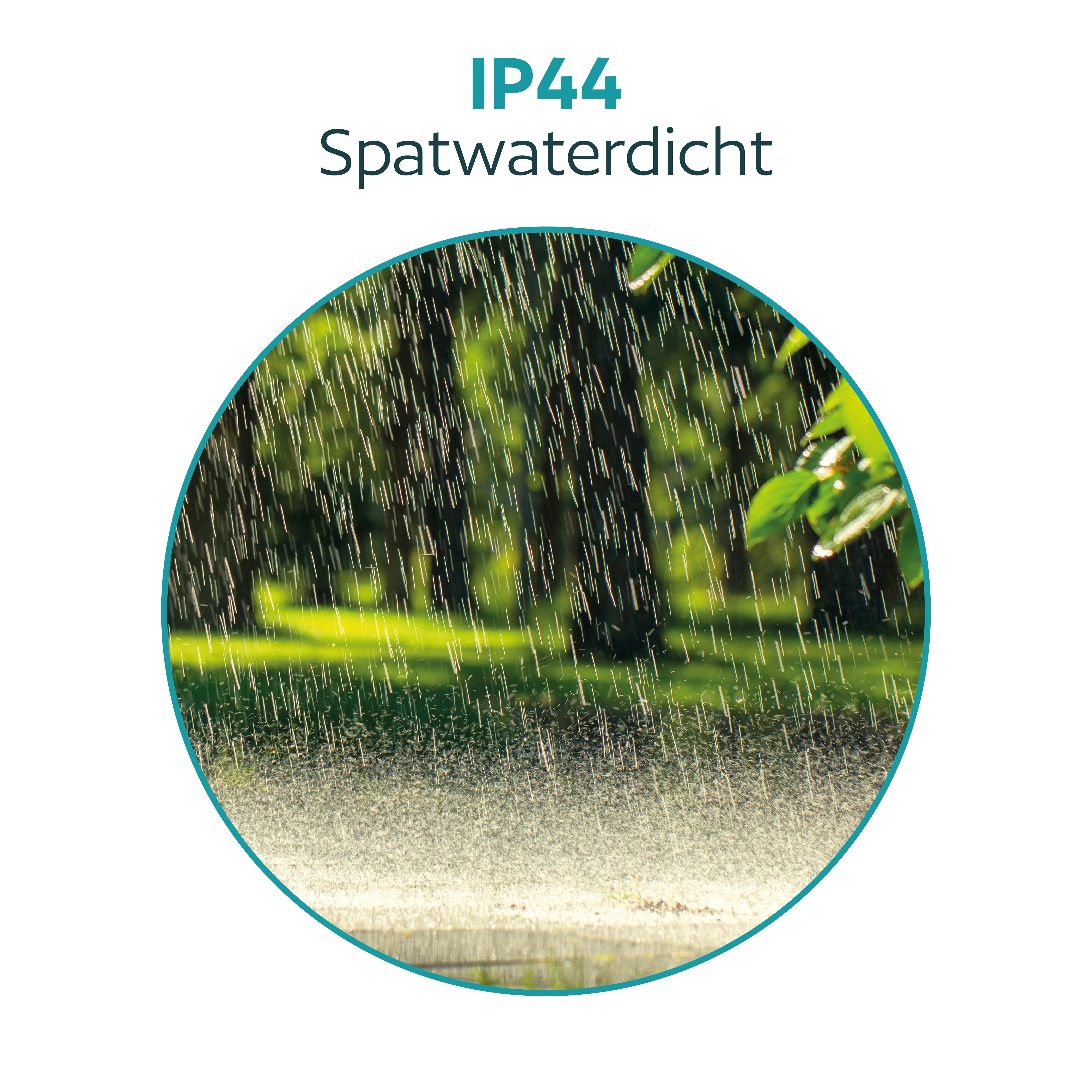 Productafbeelding 7