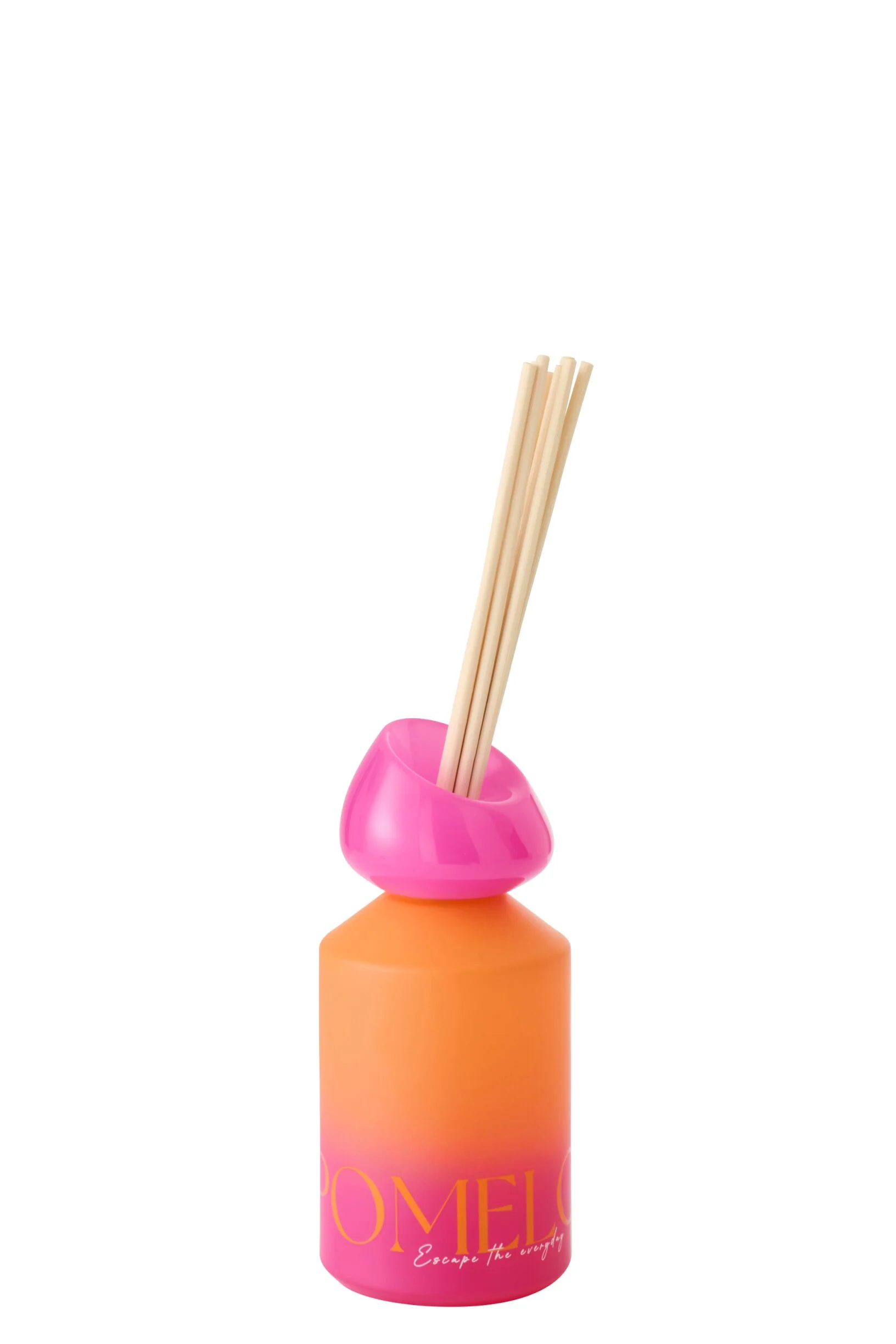 Miniatuur 2