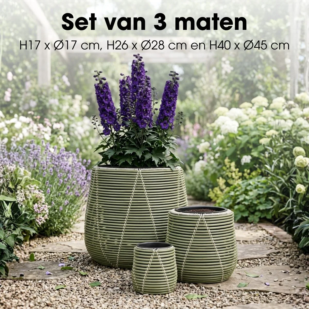 Productafbeelding 3