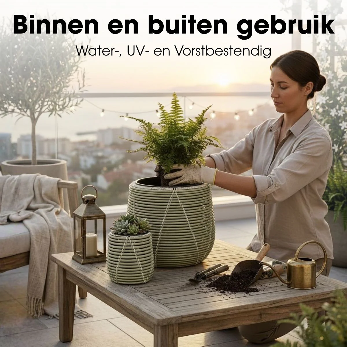 Productafbeelding 5