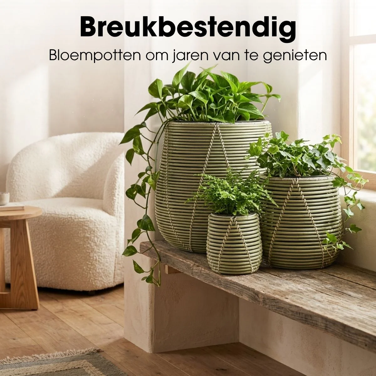 Productafbeelding 7