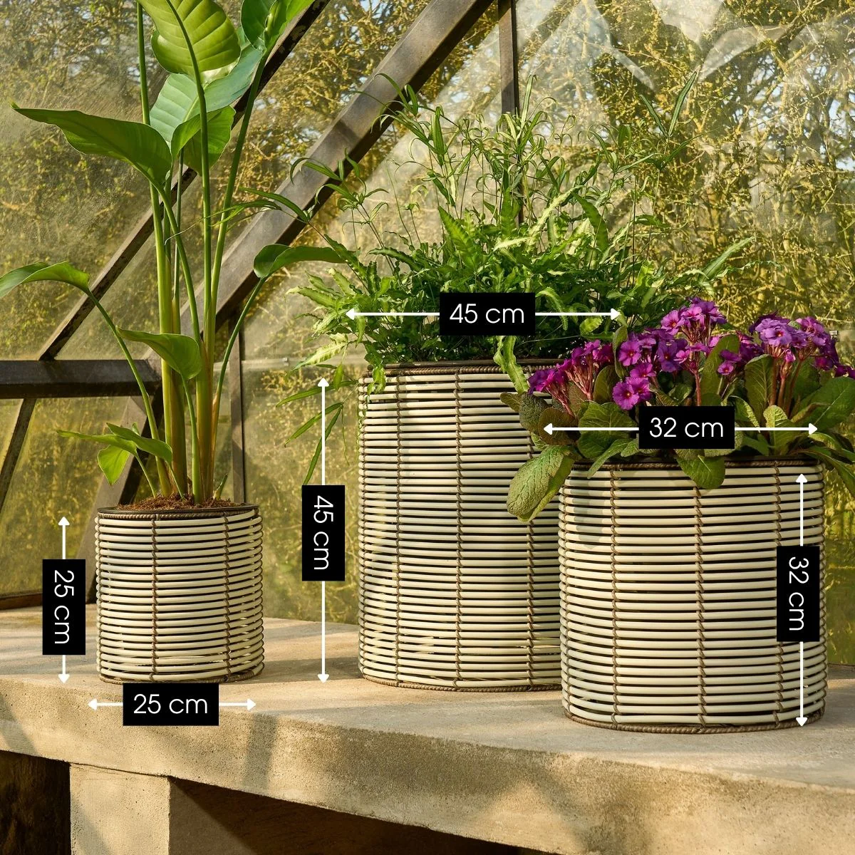 Miniatuur 2