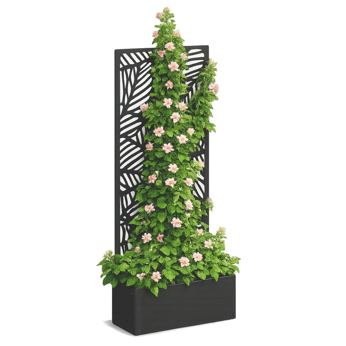 Miniatuur 1